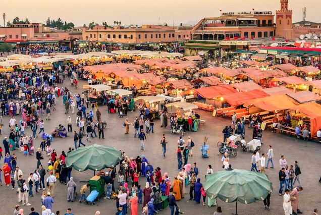 Visite de la ville de Marrakech (demi-journée)